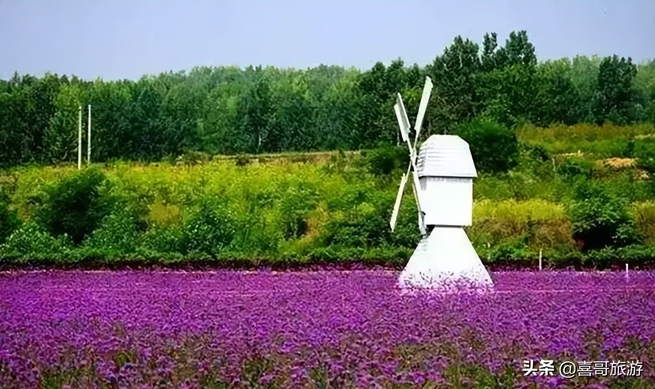 黄岛景点分布图,黄岛春节免费景点
