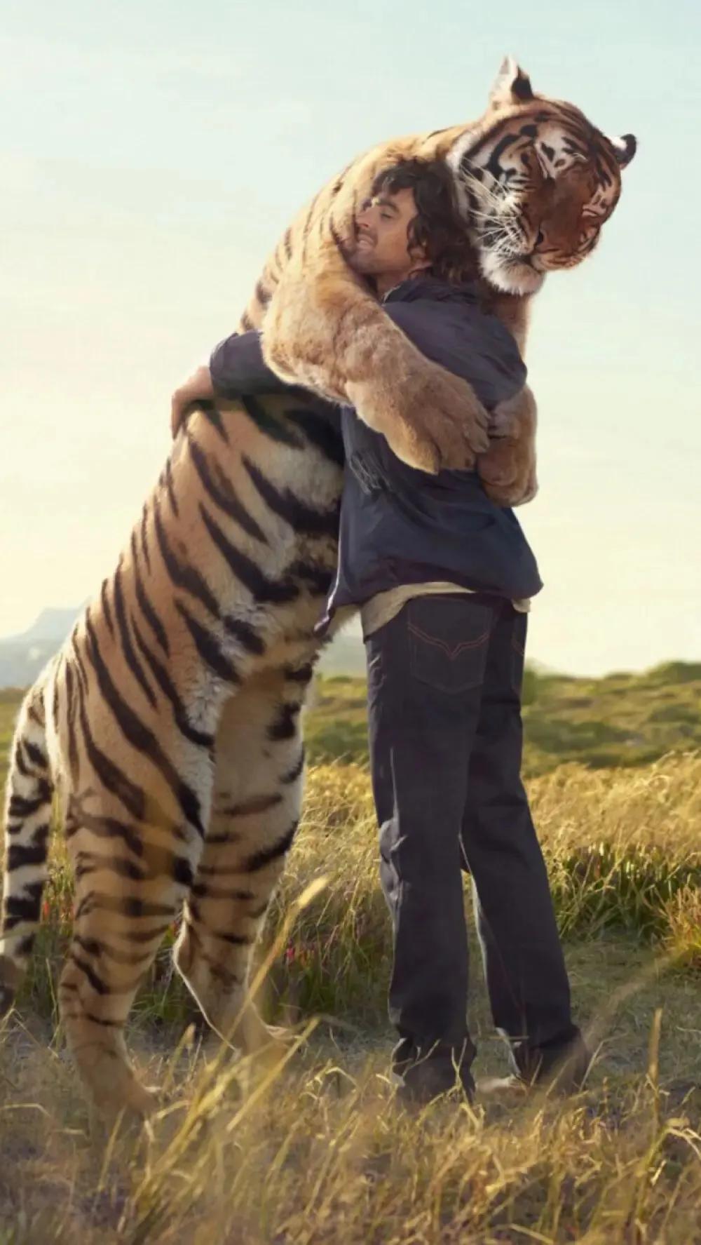 戏说老虎图文杂汇