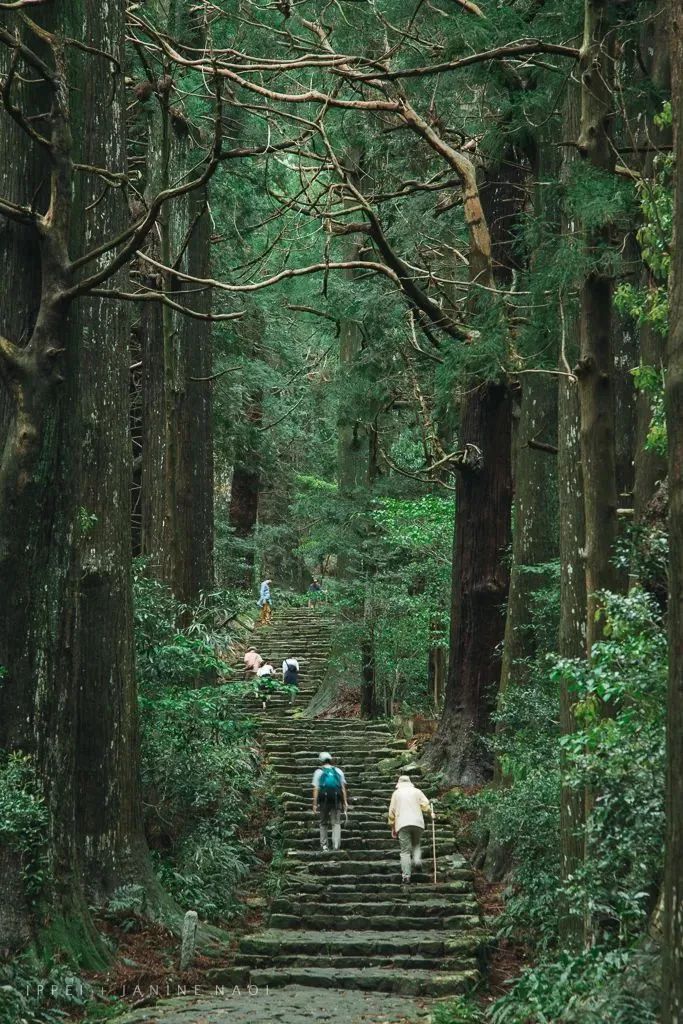 御守和护身符有什么区别,御守和佛教冲突吗