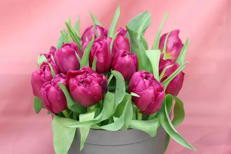 取悦自己最简单和有效的方式,取悦自己最好的方式就是消费