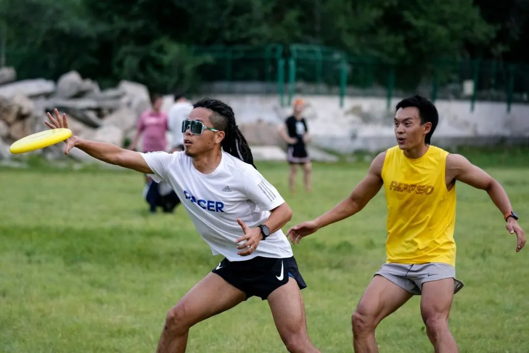 飞盘和足球争场地,飞盘足球打架