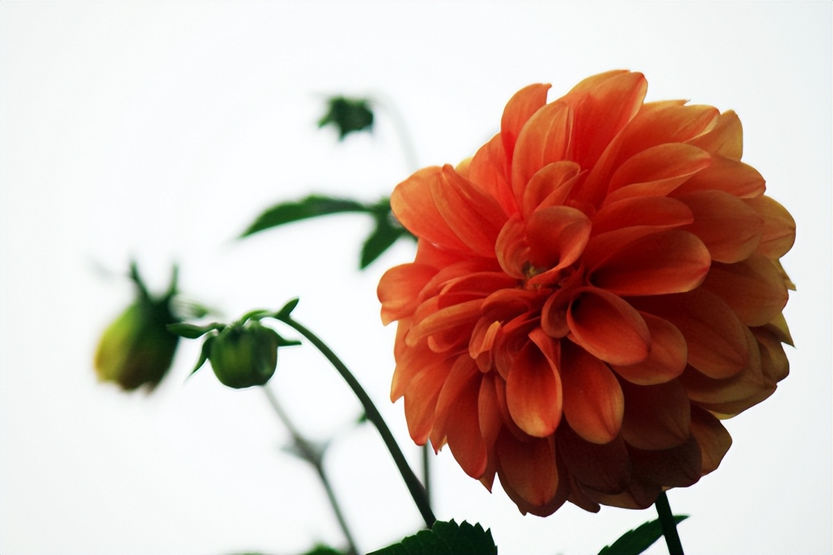 情侣之间分手正确处理方式,假分手怎么挽回