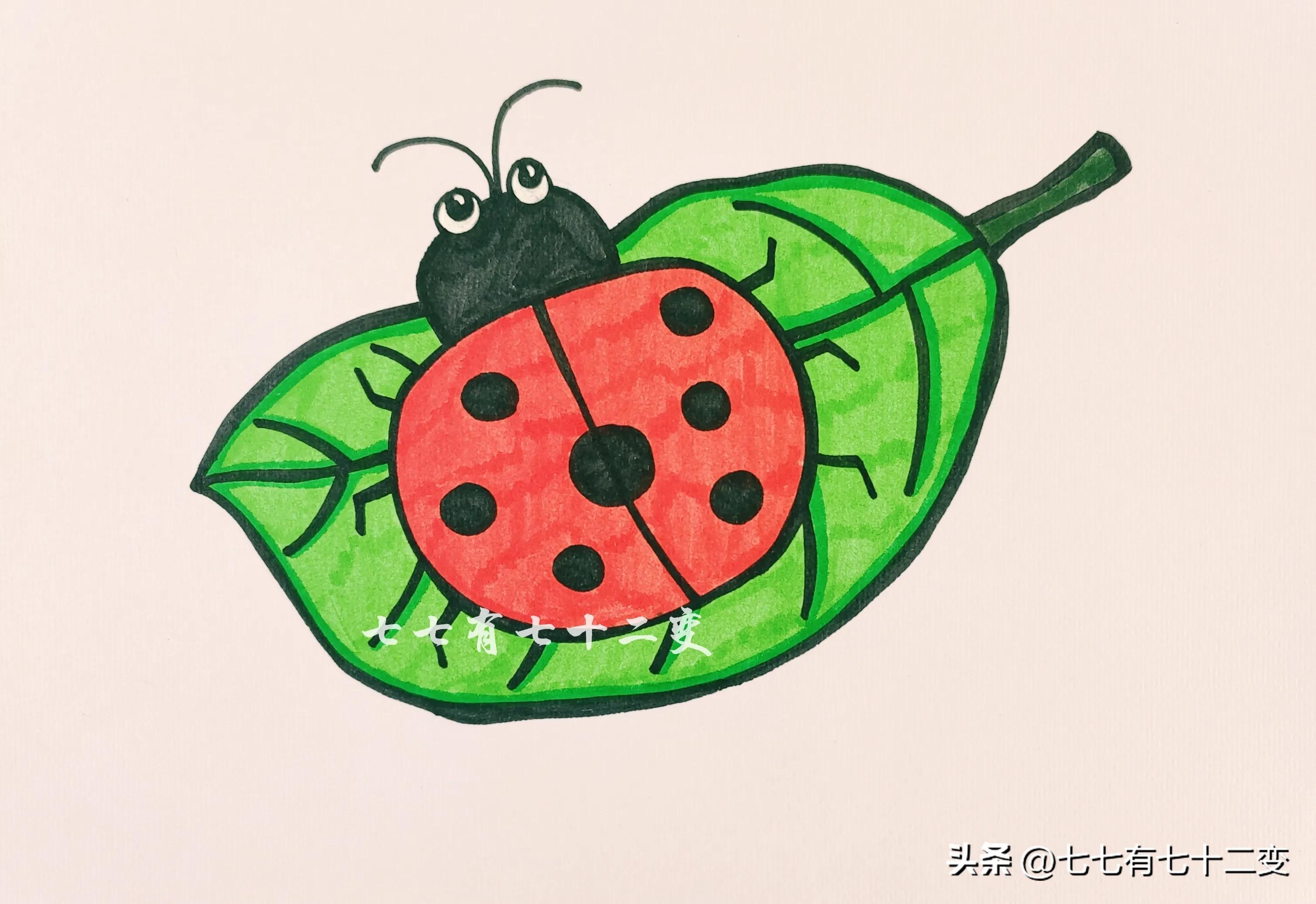 创意儿童画七星瓢虫6-7岁,儿童画作品大全简单七星瓢虫涂色