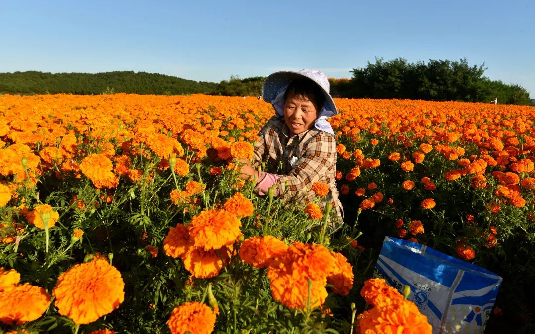 迎接党的20大美术作品,喜迎二十大乡村摄影展