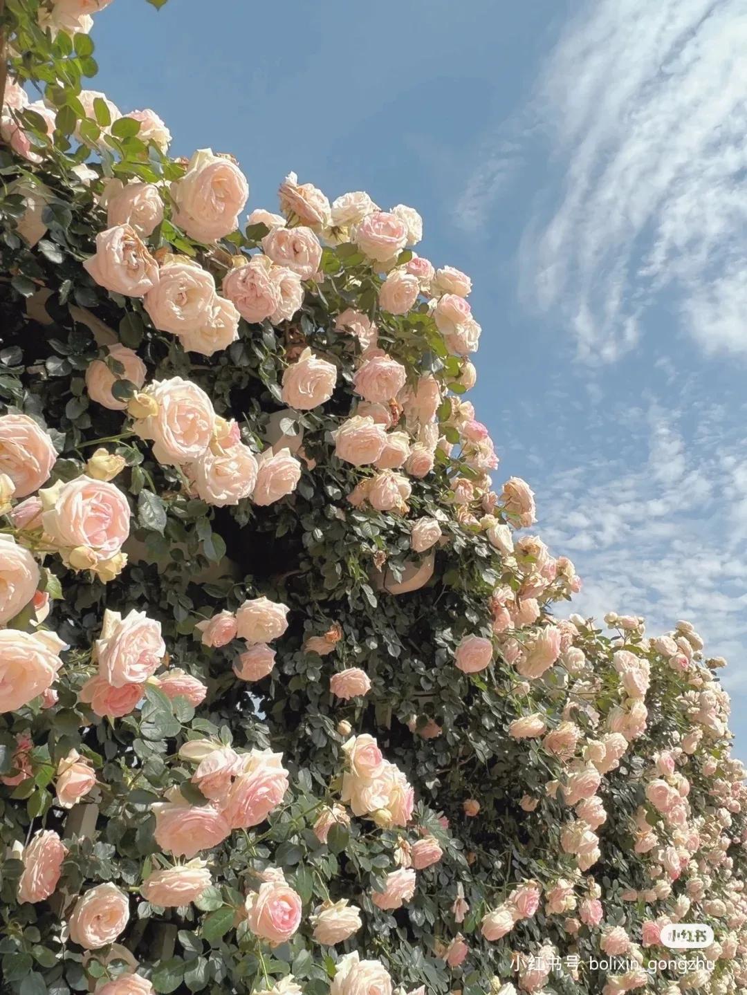 初中毕业有哪些选择,初中毕业有哪些技校能上口腔医学专业