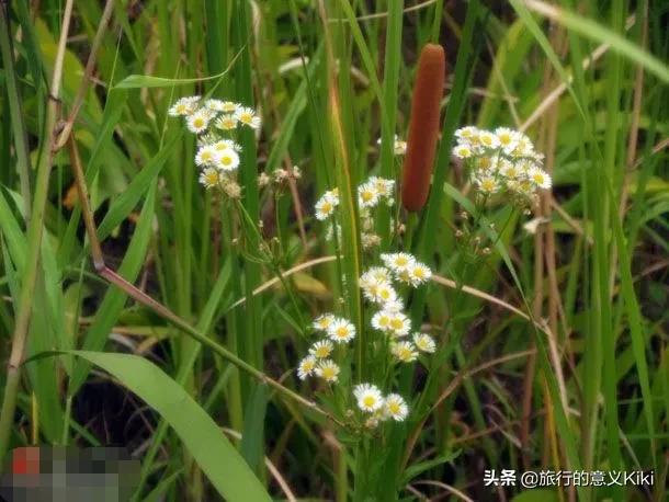 上海自驾西山旅游攻略,苏州东山一日游自驾游最佳路线图