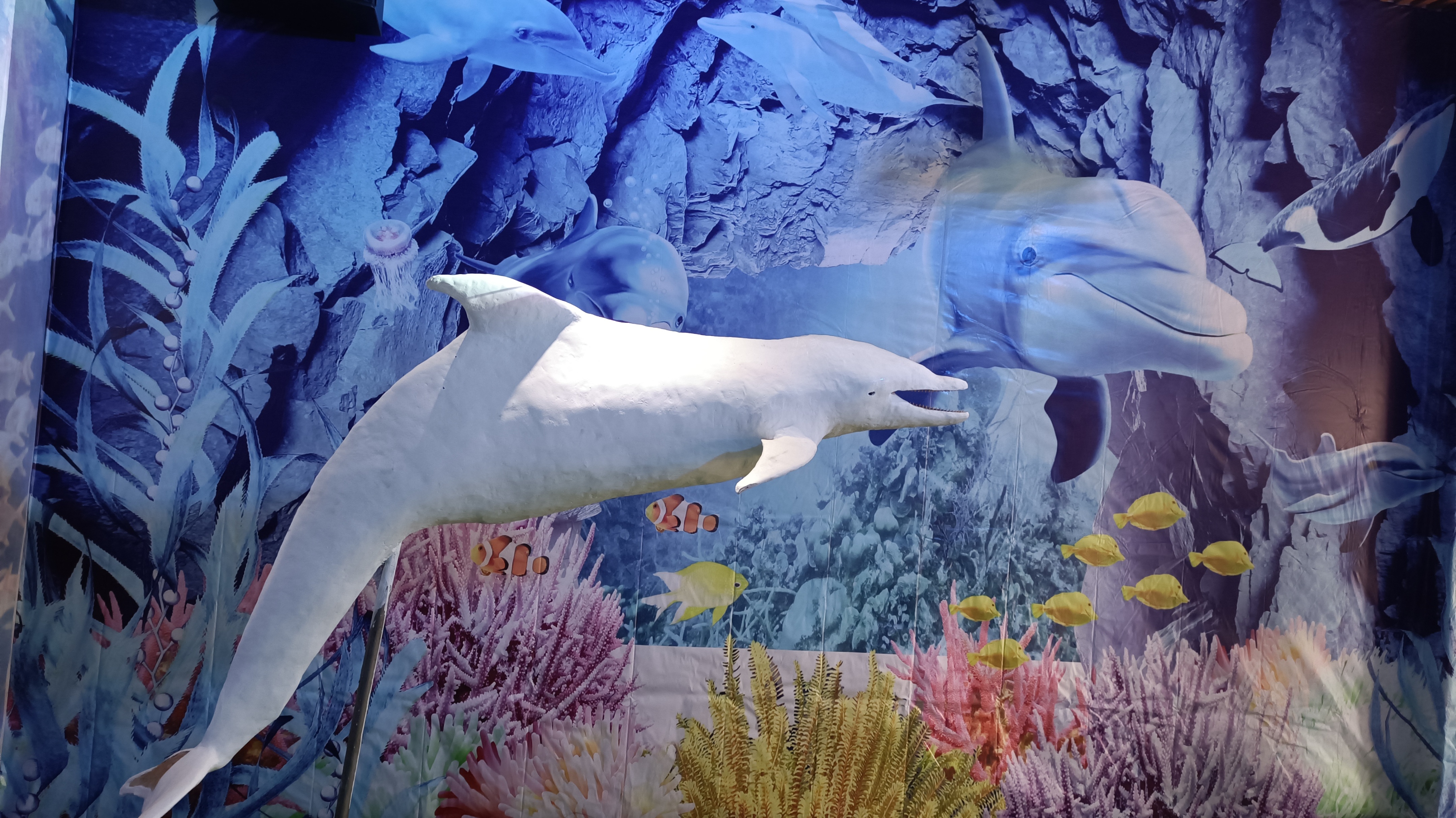 郑州春天去哪里旅游,郑州周边适合春天去的地方