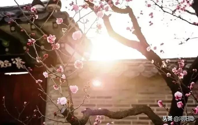 古代诗词的最高境界是什么,中国诗词最高境界是什么