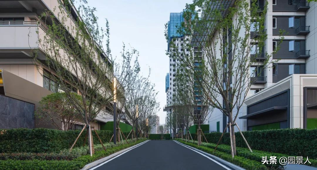 万科华生星耀大道和华生公园大道,武汉万科华生星耀大道