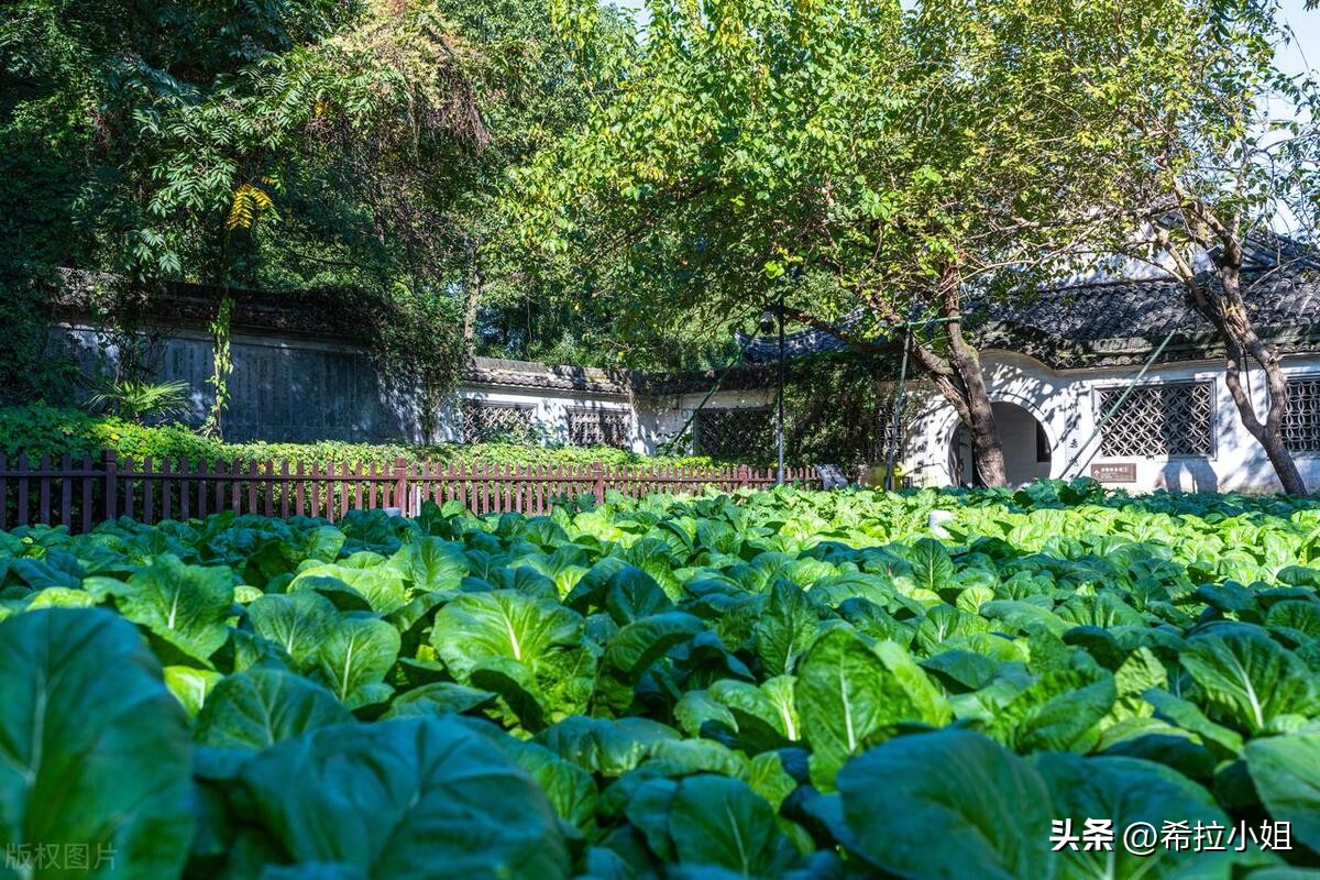 绍兴旅游必去十大景点推荐一日游,去绍兴必玩景点推荐住酒店