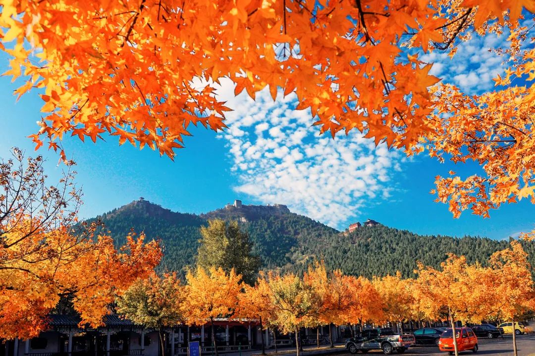 逛吃逛吃歌曲,逛吃逛吃大张伟