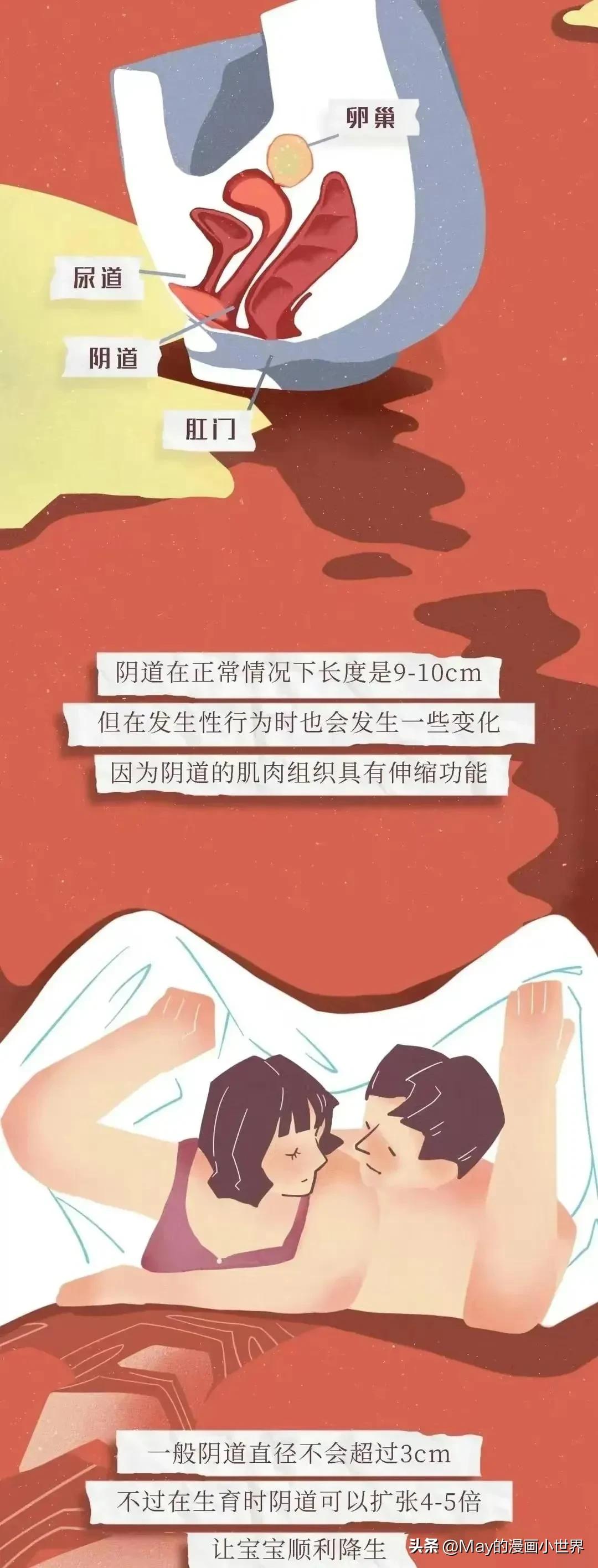 女生要了解的“阴道”知识，男人要保护好自己心爱的女孩