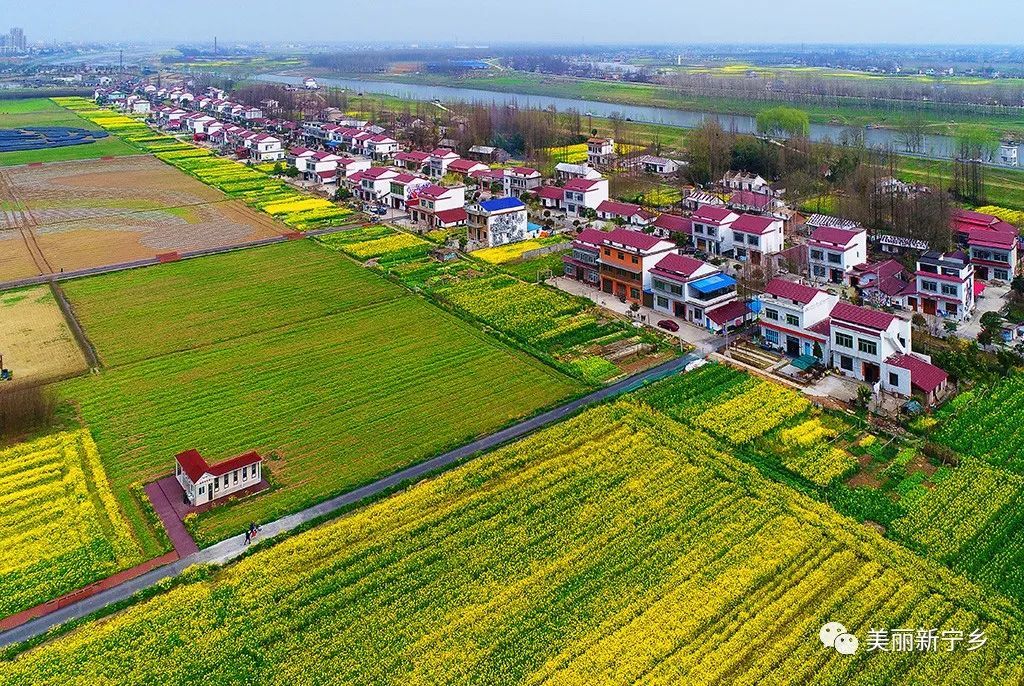 南县洞庭之心广场,南县洞庭之心夜市