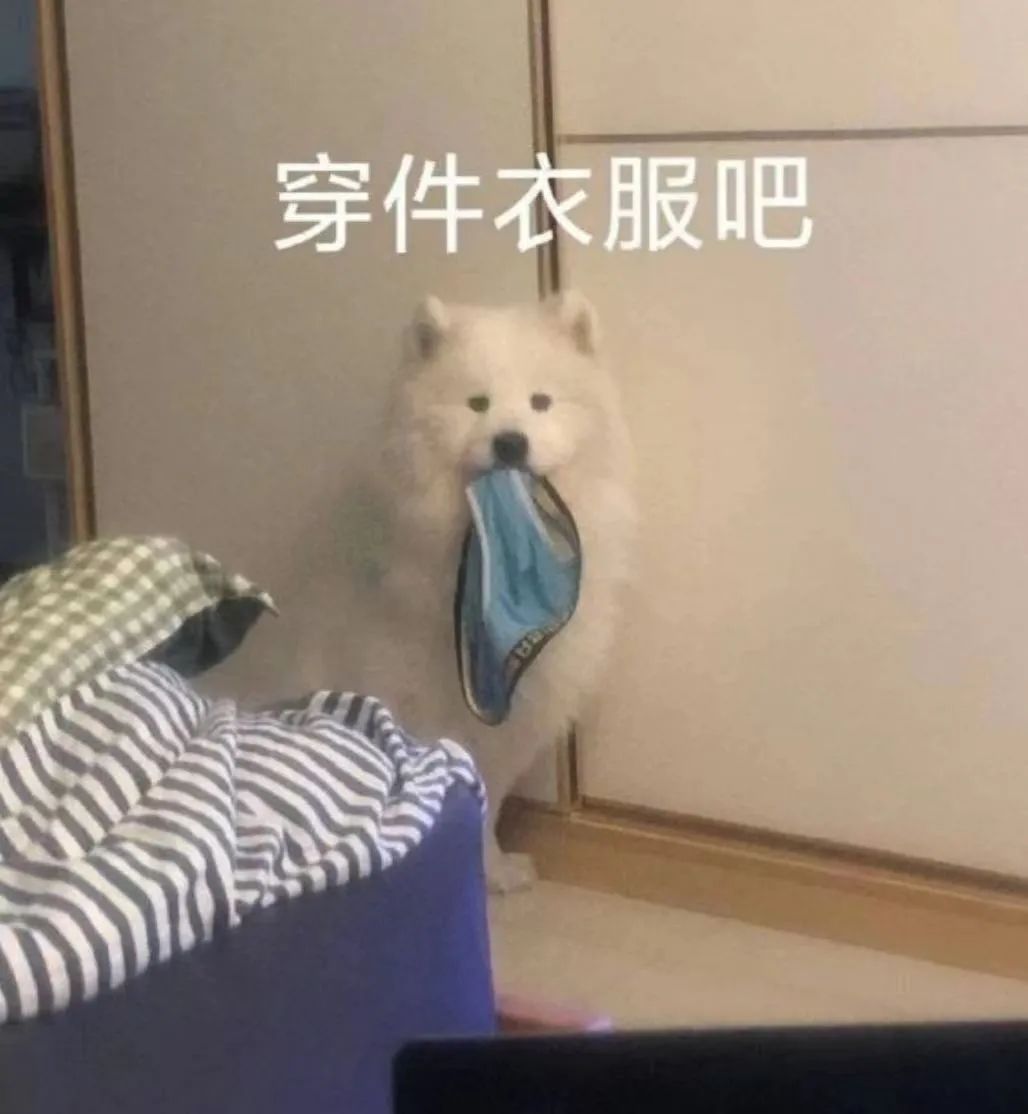 体育生如何成为自己的男朋友,体育生都是怎么当上的