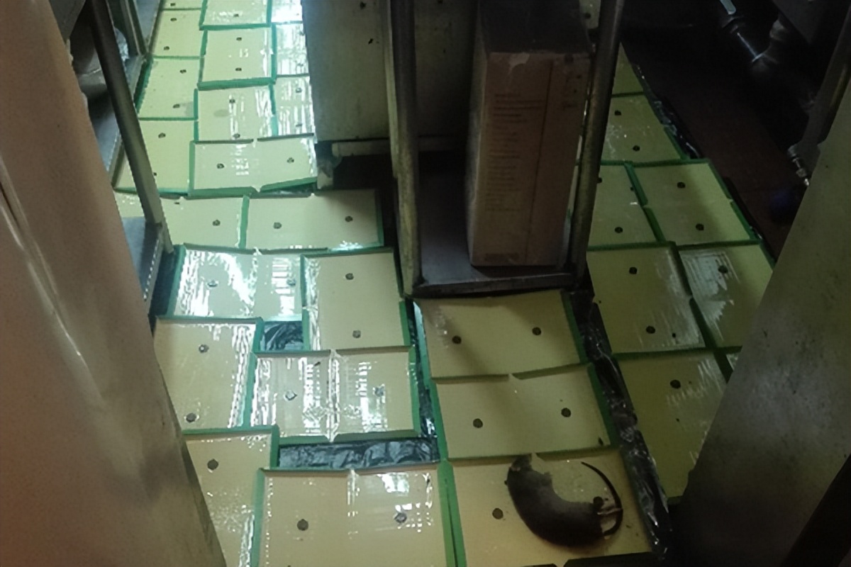 灭鼠公司防治老鼠采取的有效措施,灭鼠的质量技术标准