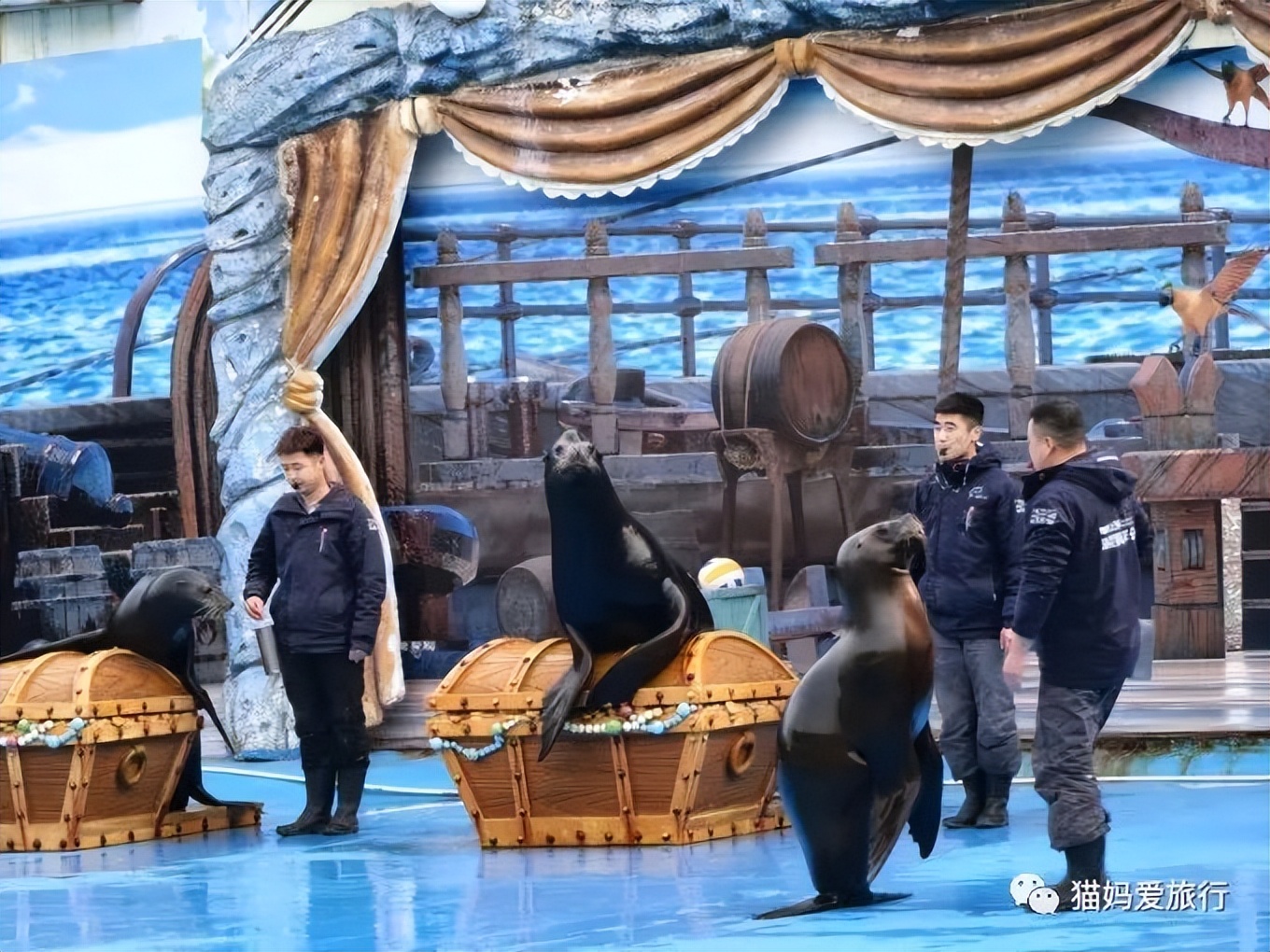 青岛过年遛娃好去处,青岛遛娃圣地