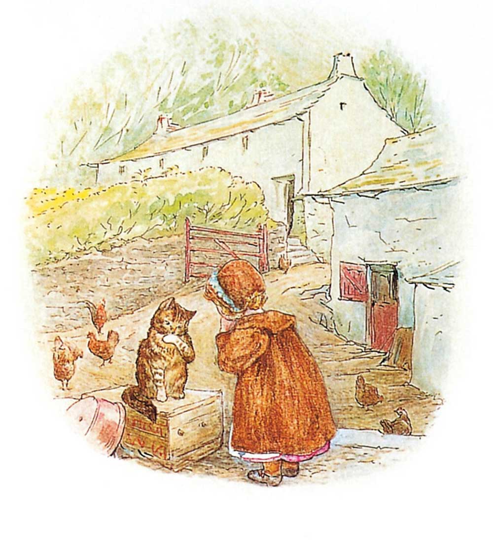 温克夫人的故事讲了什么,温克夫人的故事解析