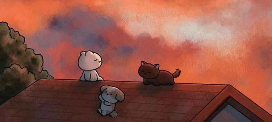 深入的拆解一个行业——保健品