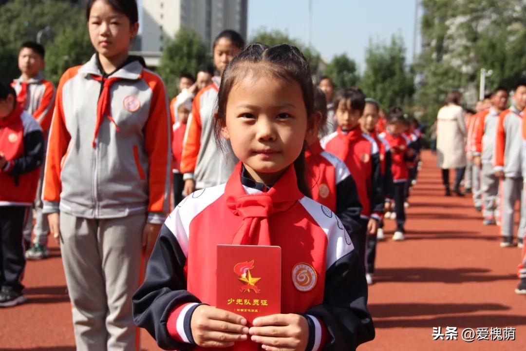 槐荫大金小学,槐荫区大金小学片区