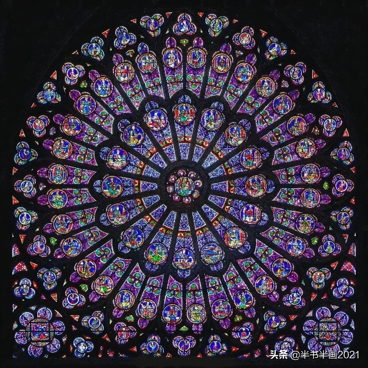 玫瑰传说：跨越千年的美丽