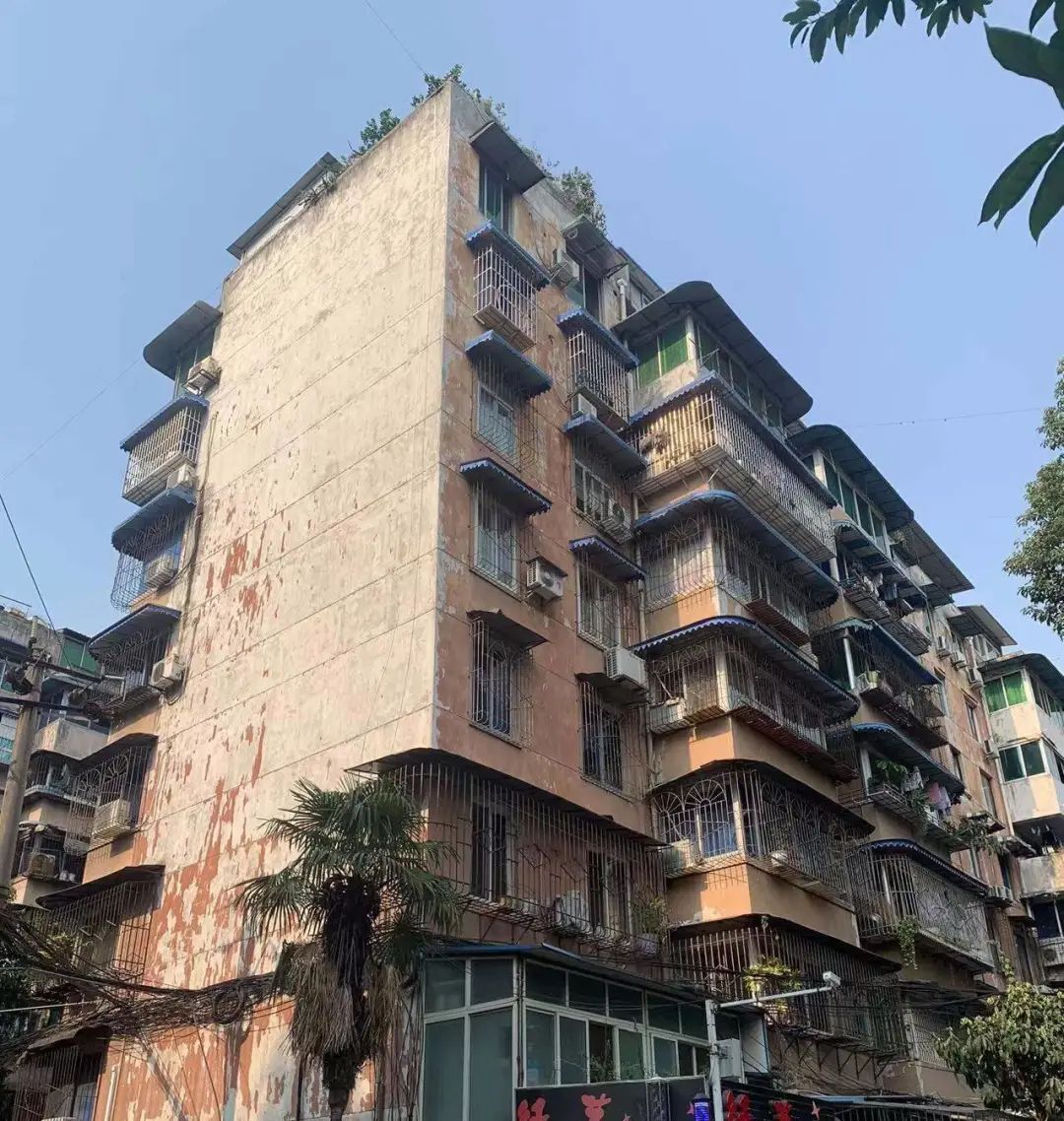 疫情这么严重你们敢买房吗,疫情过后这四类房子火了