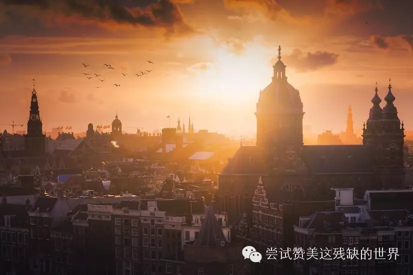 荷兰厨师劳务签证,荷兰厨师签证有回访电话吗