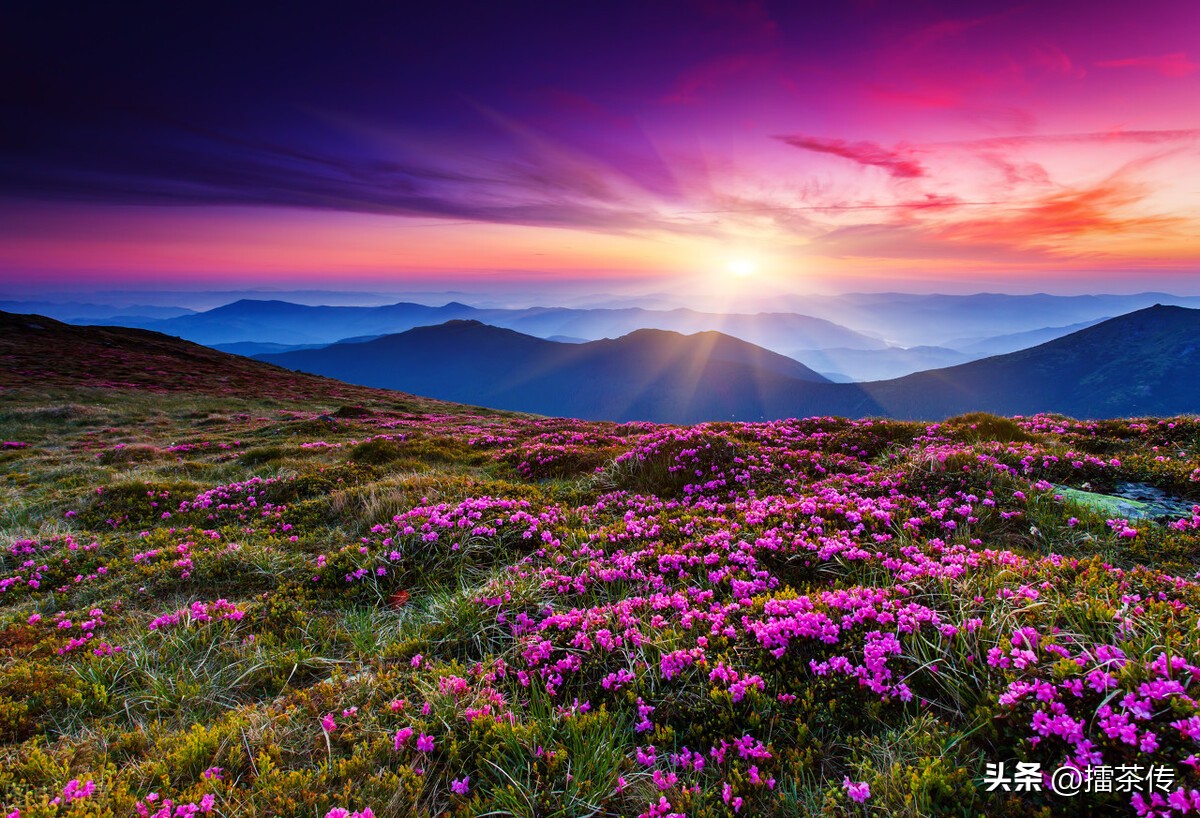 农历1995年8月17日是什么星座,68年农历8月17日属什么星座