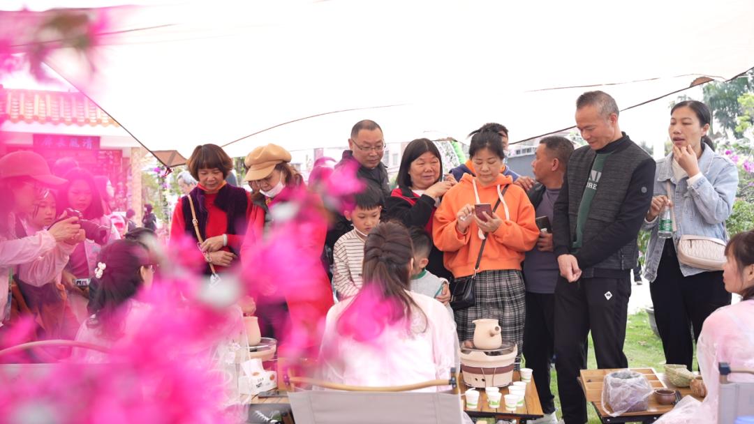 四会石狗镇兰花展今年什么时间,石狗镇程村兰花展馆