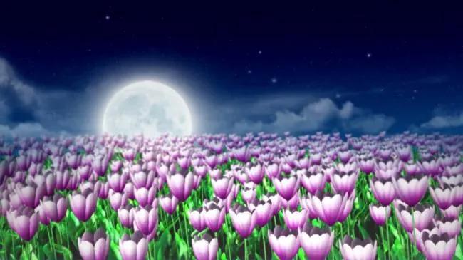 陈风月诗经原文,诗经陈风月出全文注音