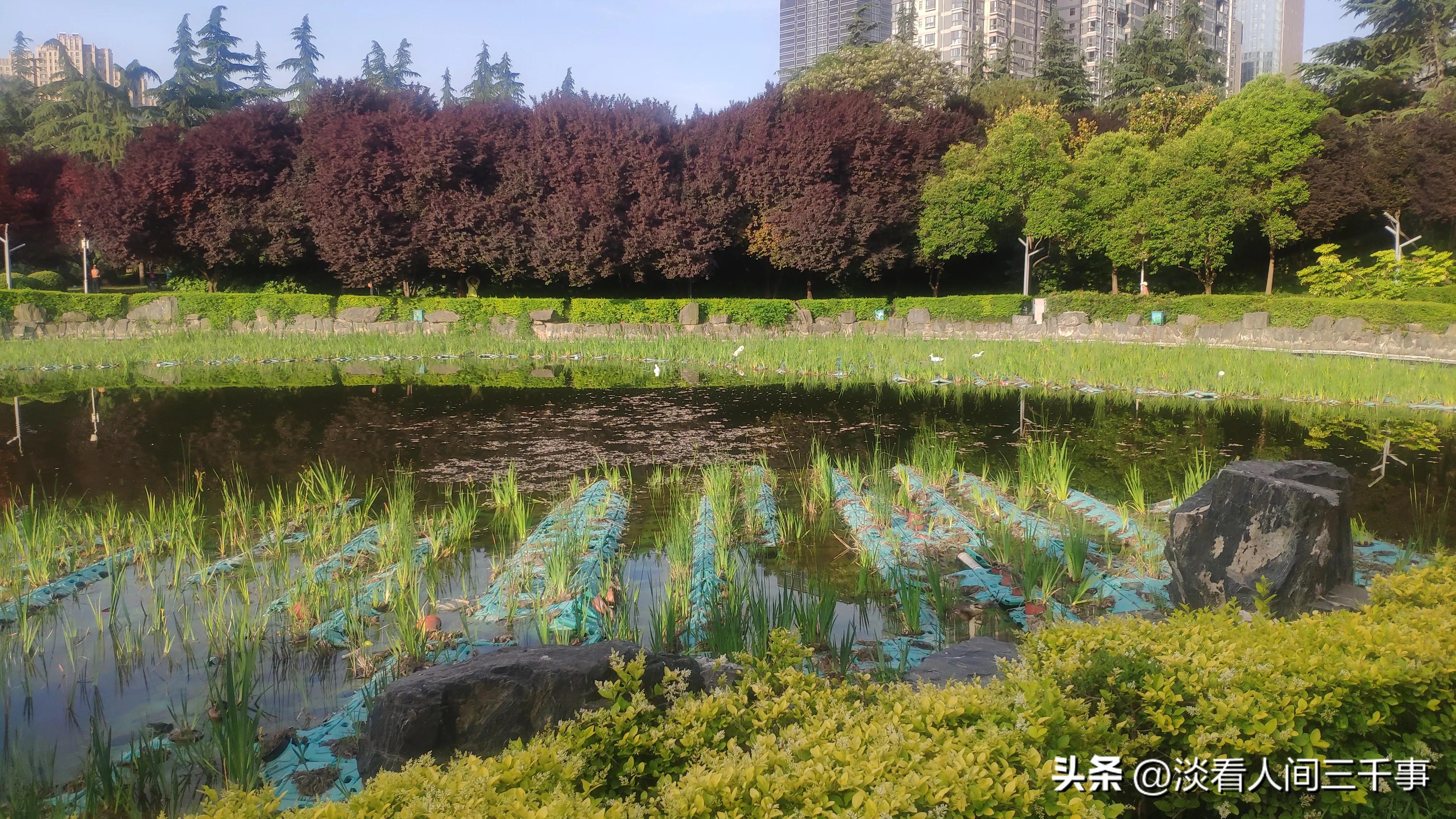 西安高新区新纪元高尔夫球场,西安高新区新纪元公园电话