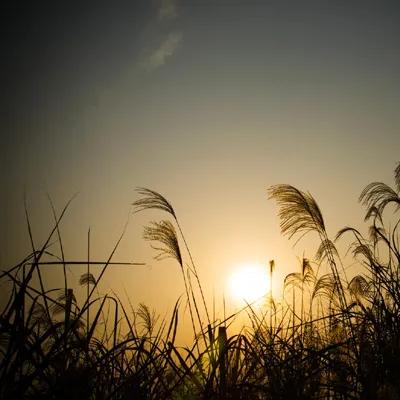 人生哲理小故事1分钟,小故事大智慧人生哲理