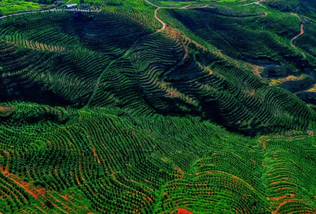 推动红河高质量跨越发展,奋力推动红河高质量跨越式发展