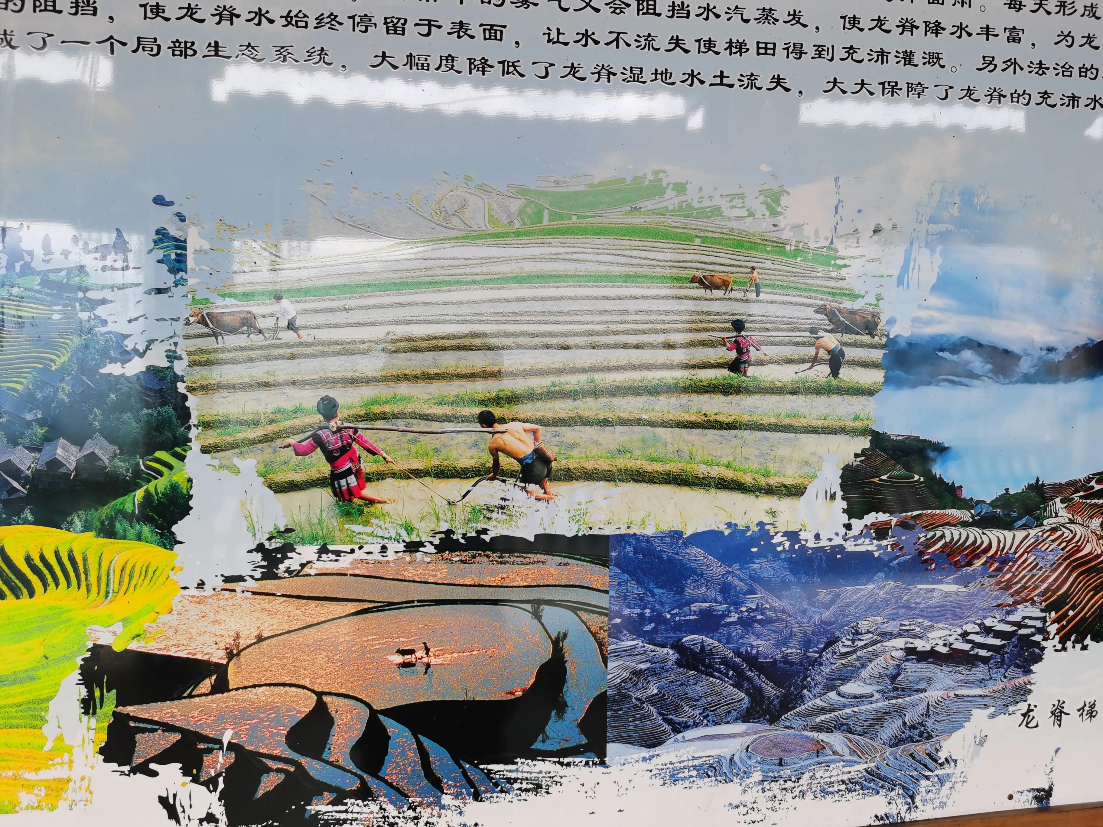 疫情中的成长与收获,疫情期间自己的收获和感受