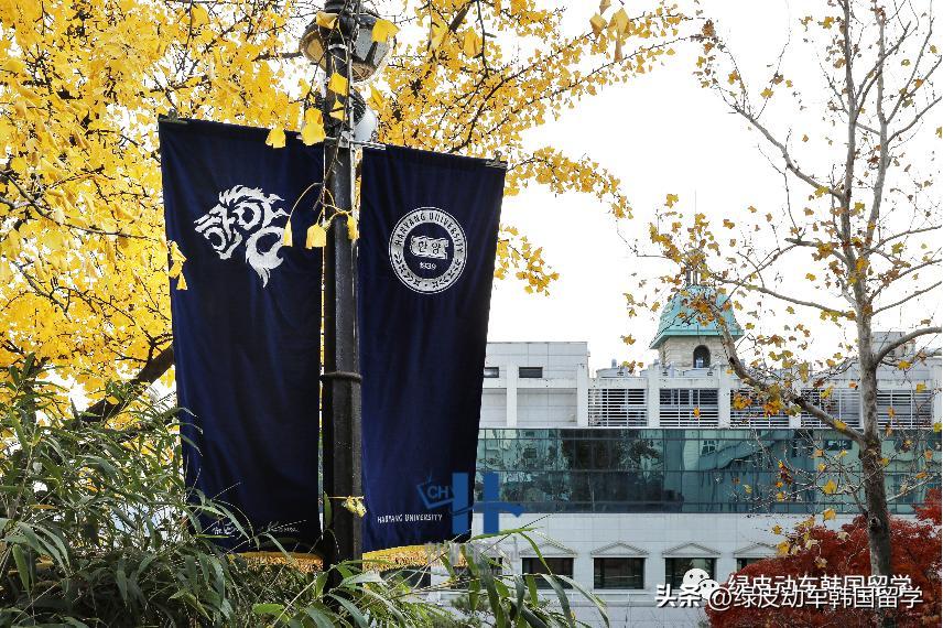 2022年最受留学生欢迎的韩国大学