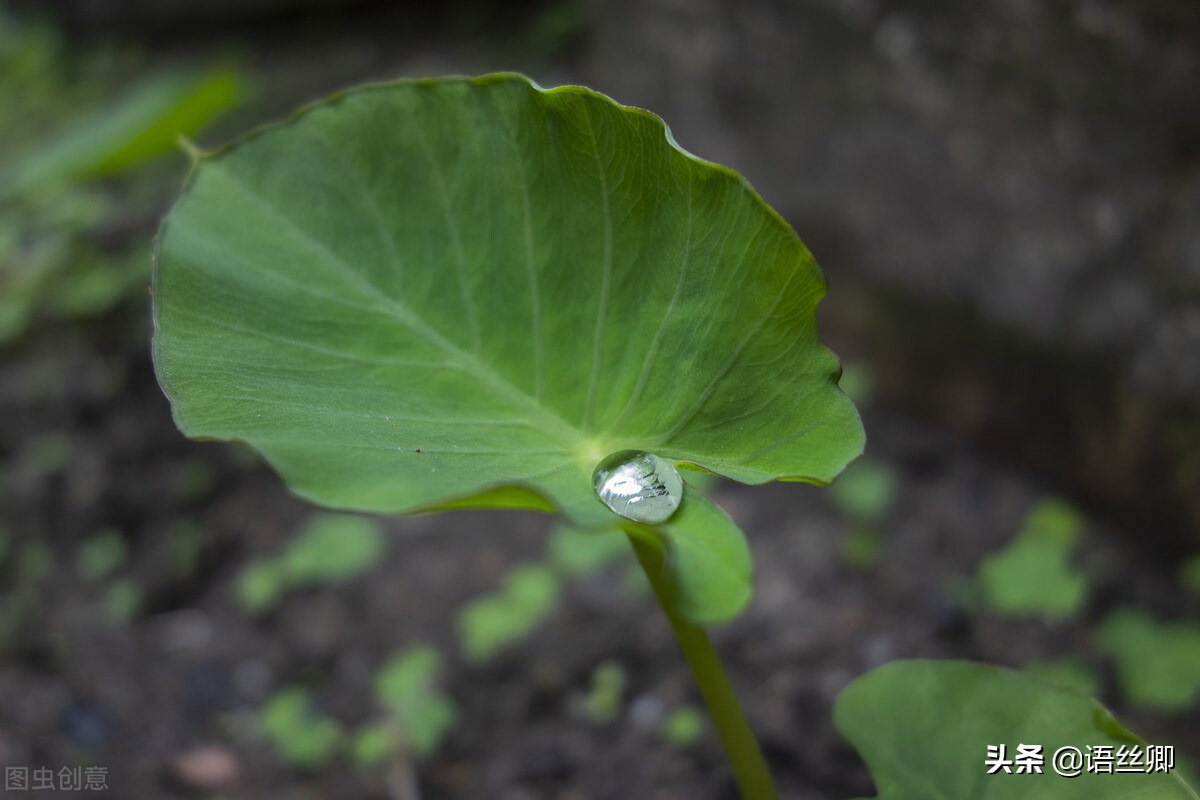 随笔三篇400字,随笔三到五句话