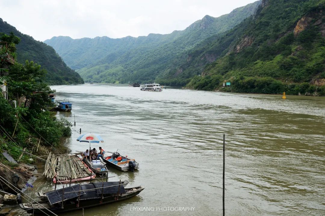清远鸡什么地方最好,清远鸡冷知识