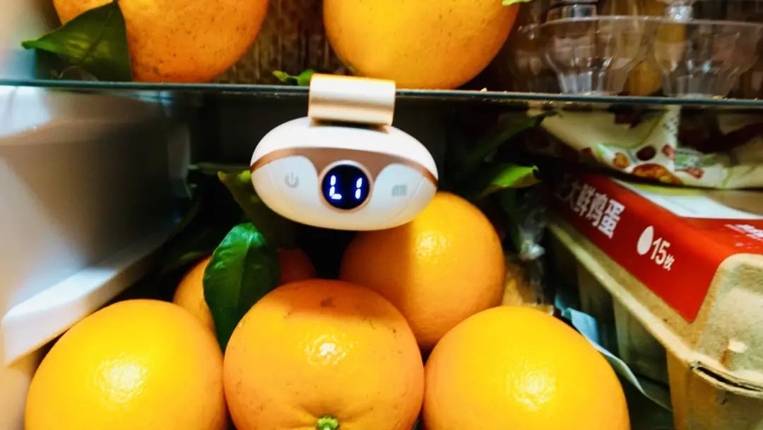 冰箱除味杀菌净化器,中山市杀菌除味器