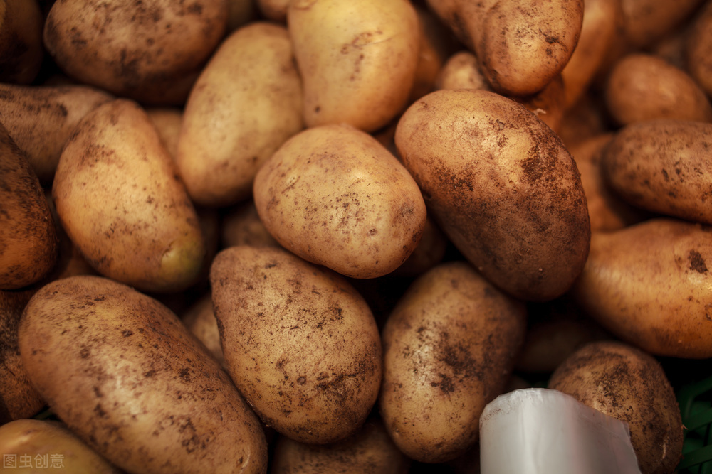 全国品质最好的土豆是哪里的,国内十大优质土豆产地排行榜