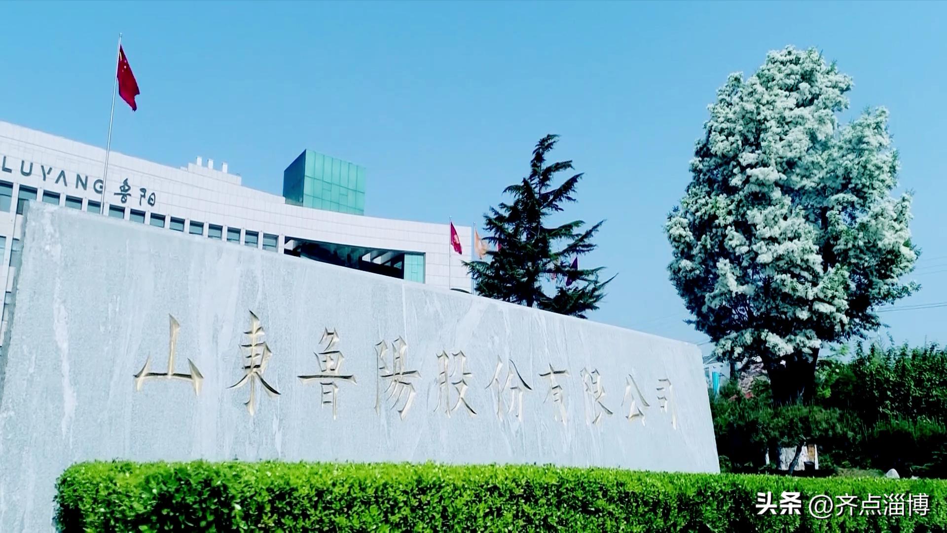 聚焦专精特新引导双创高质量发展,聚焦山东加速推进新型工业化