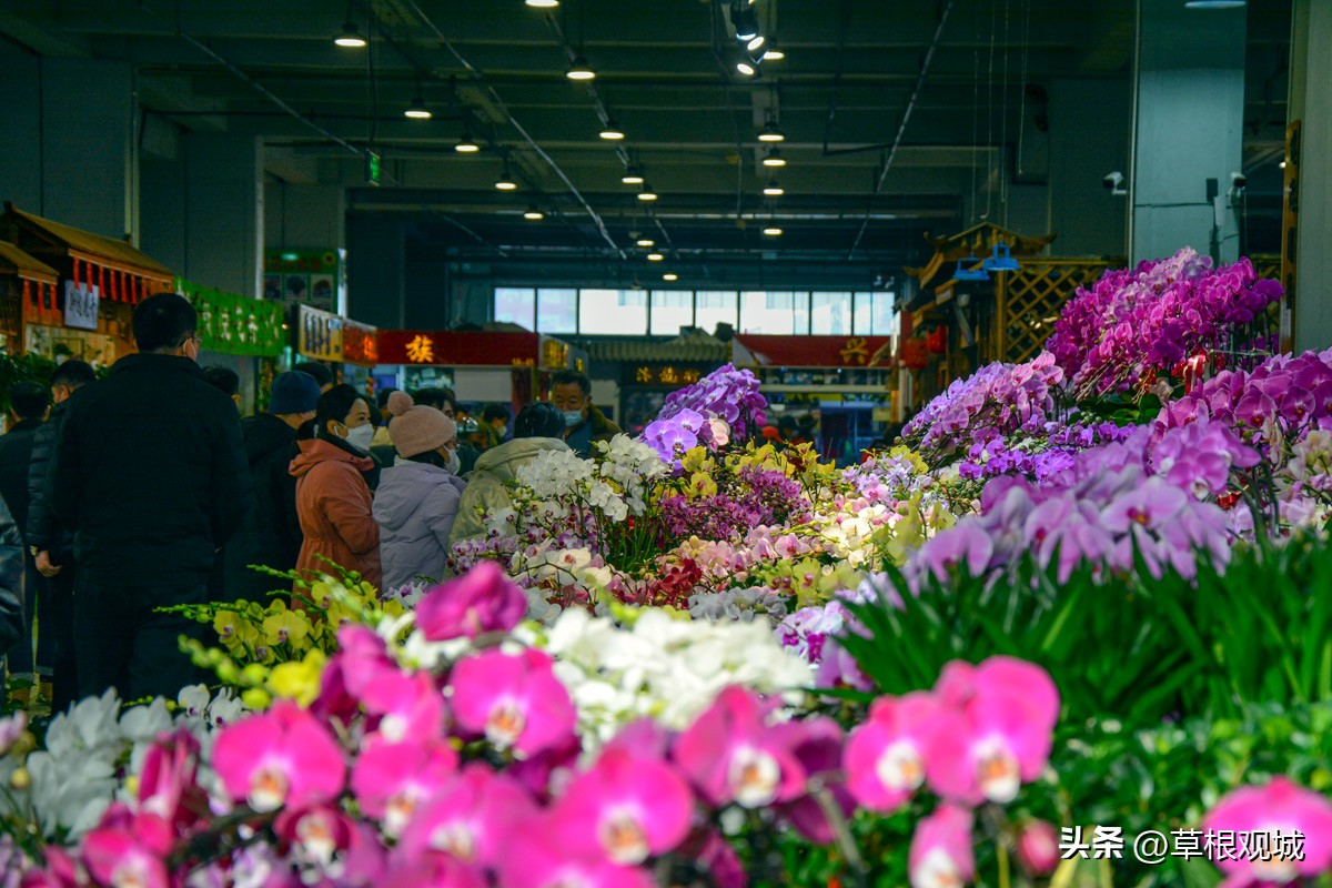 鎺㈣杩庢槬鑺卞競,澶ц繛瑗块儕鑺卞競鎼摢鍘讳簡