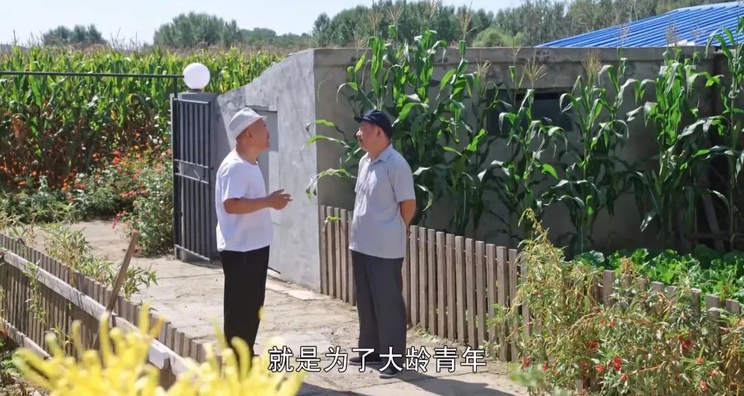 许君聪乡村爱情第六部,许君聪乡村爱情协奏曲完整版