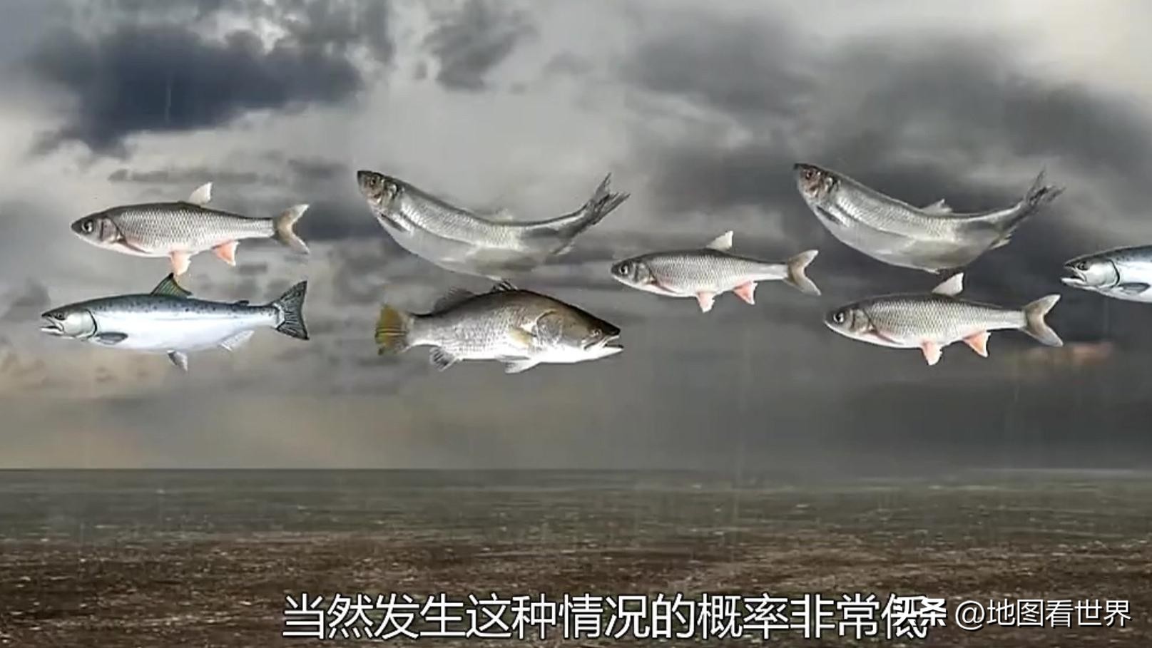 洪都拉斯国简介,洪都拉斯是怎样的国家简介