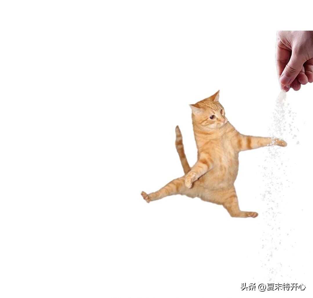 抖音笑话视频大全爆笑,笑话段子爆笑大全视频