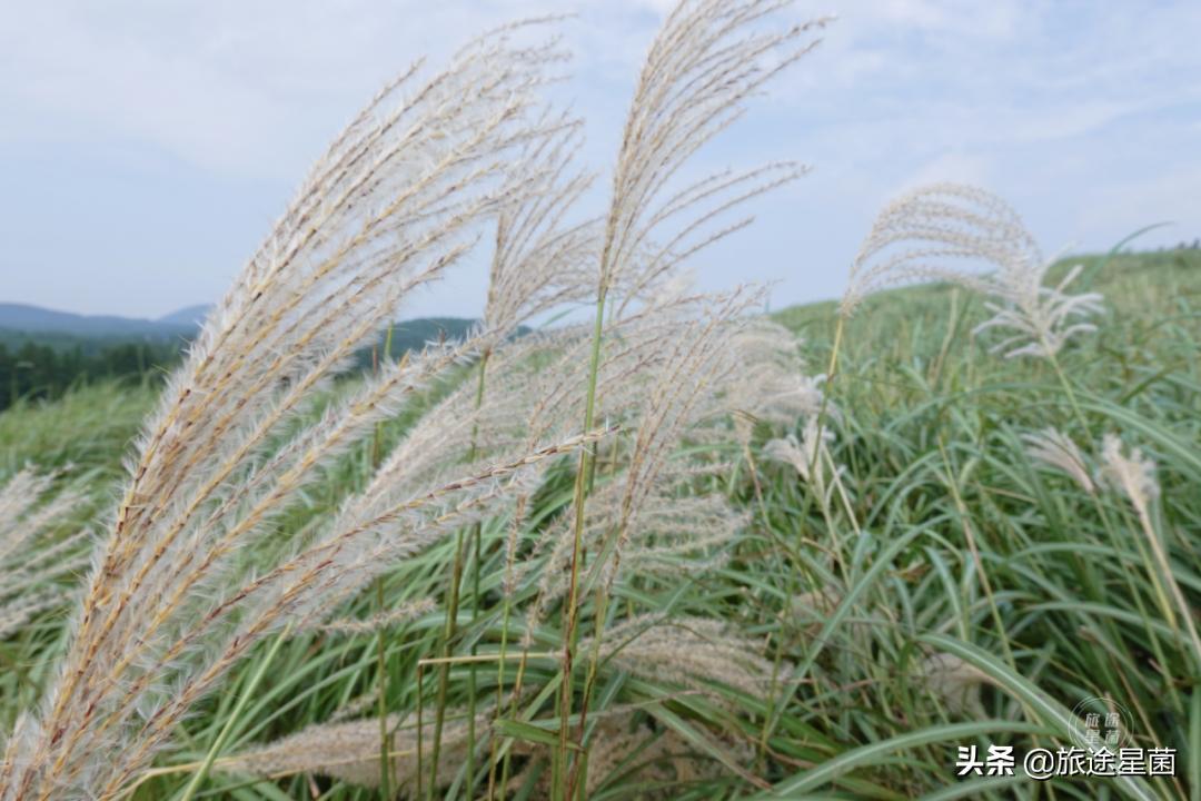 济州岛有雨季吗,韩国济州岛六月雨季