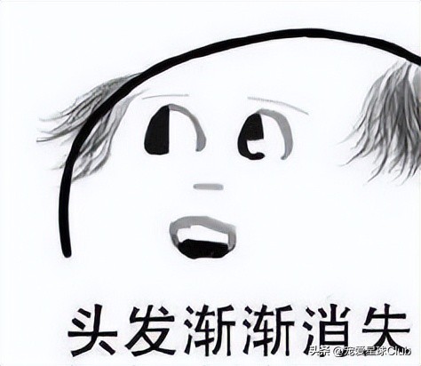 狗狗掉毛都快秃了还痒,狗狗尾巴毛掉秃了怎么回事