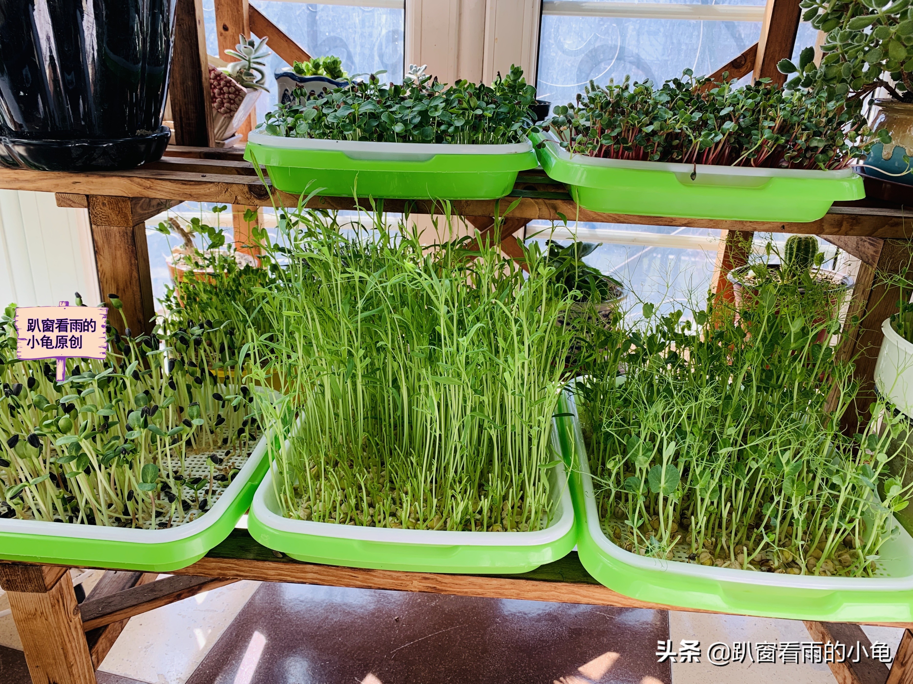 家有余粮，遇事不慌！收好10种生活必要的物资，这3件事也做起来