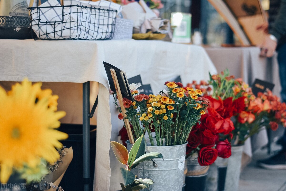 属虎的养什么花好呢,属虎养什么花最好养