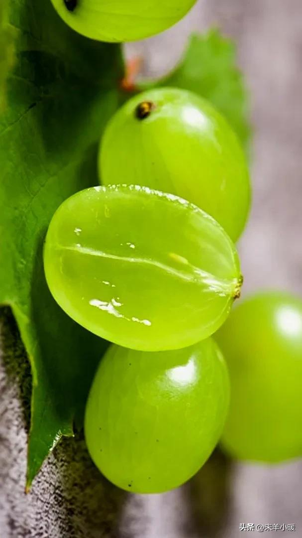 最美的手机壁纸大全,养眼养心的壁纸