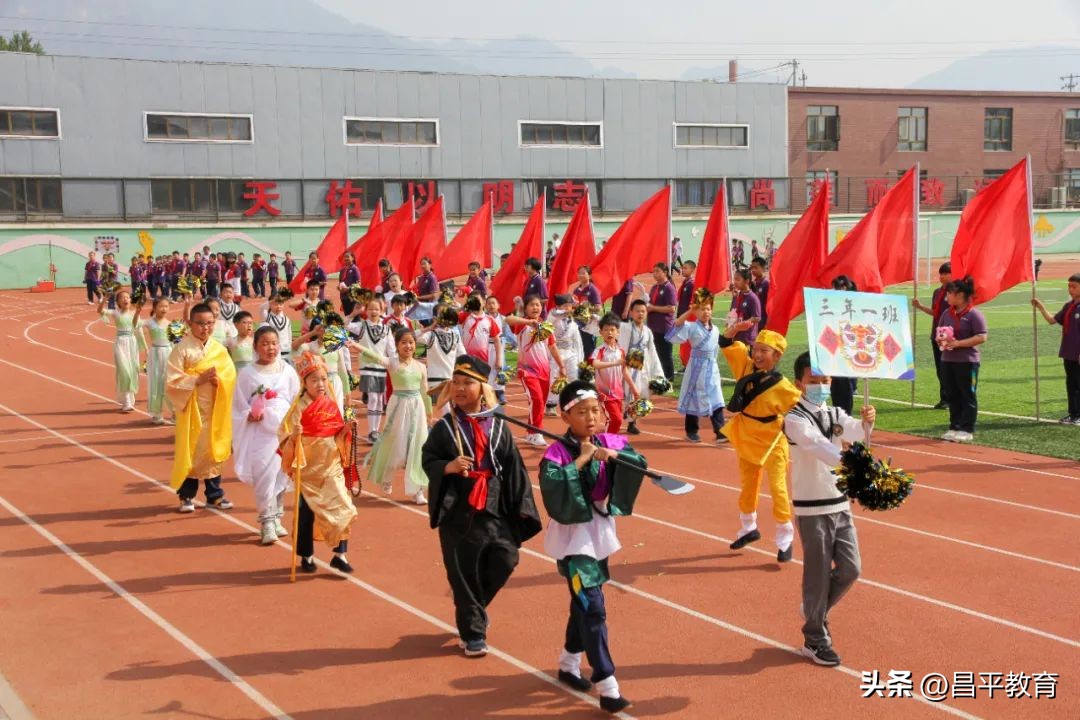 校园竞技体育的魅力,校园青春比赛