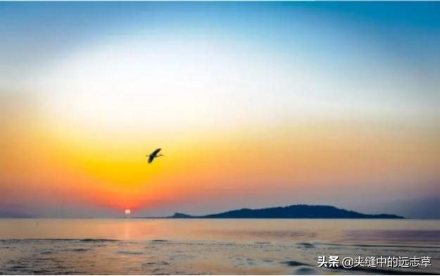 肺癌晚期病人的陪护点滴心得，以利需要者参考